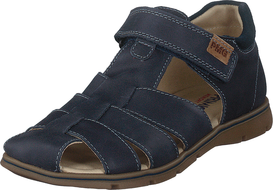Pfp 5421 Blue