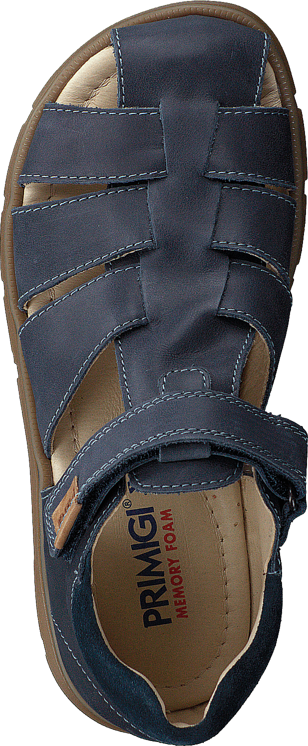 Pfp 5421 Blue