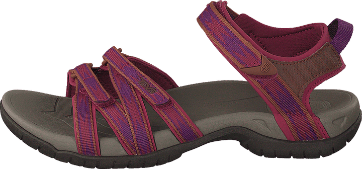 Tirra Halcon Gloxinia
