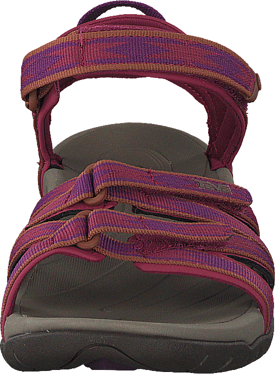 Tirra Halcon Gloxinia