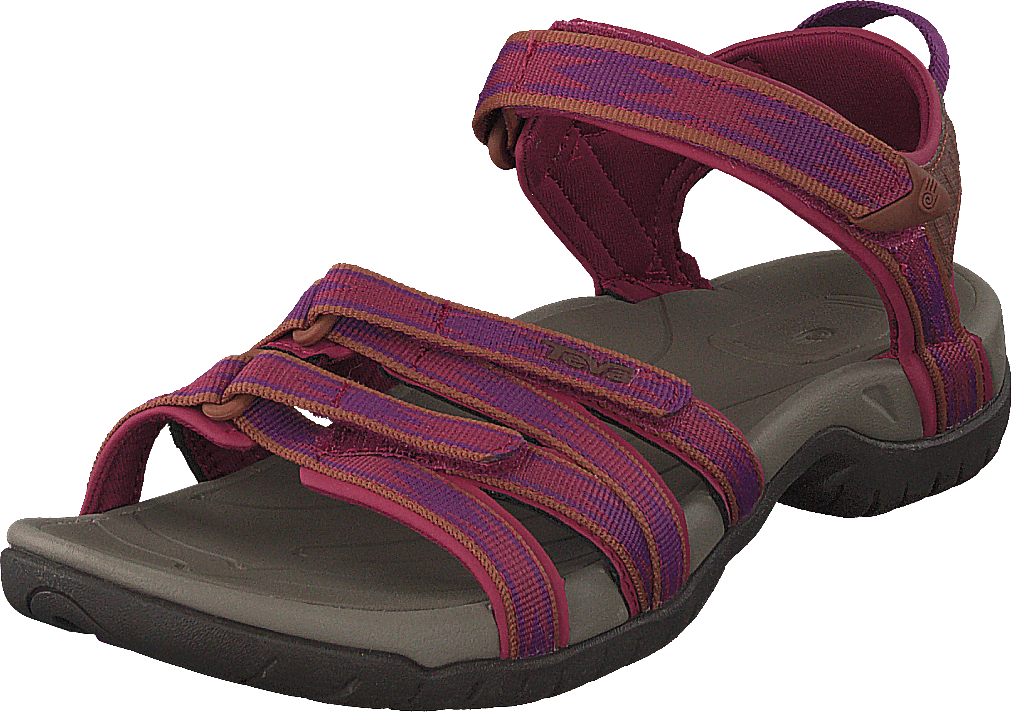 Tirra Halcon Gloxinia