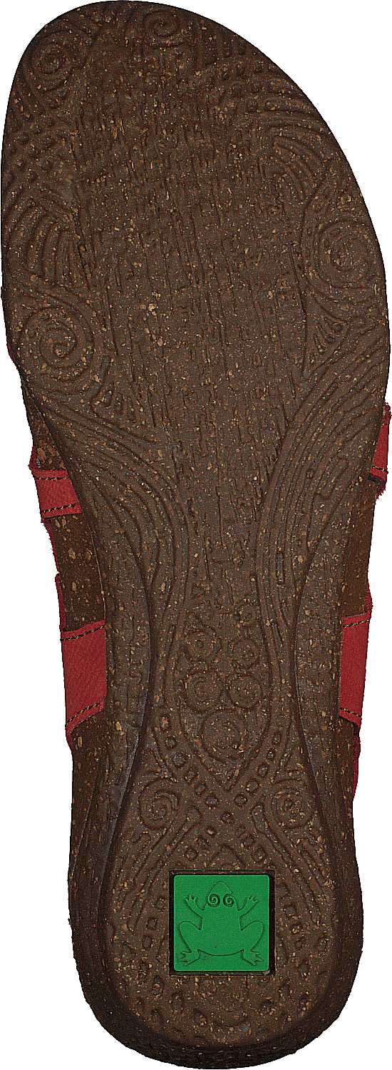 Wakataua Coral