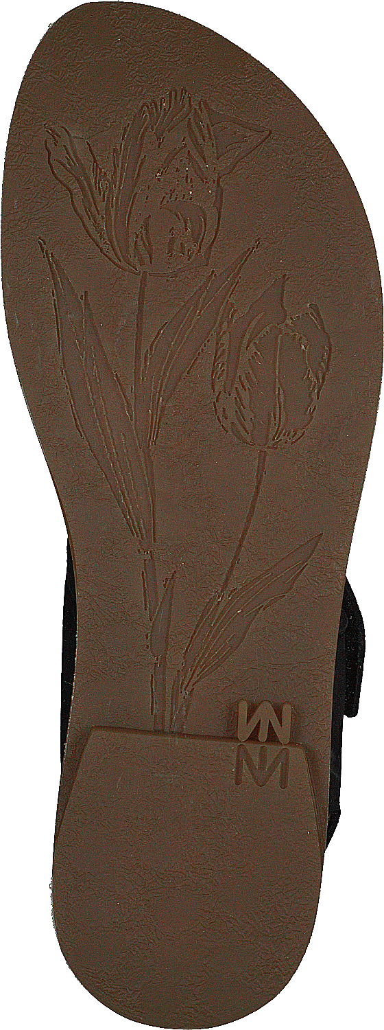 Tulip Ibón Black