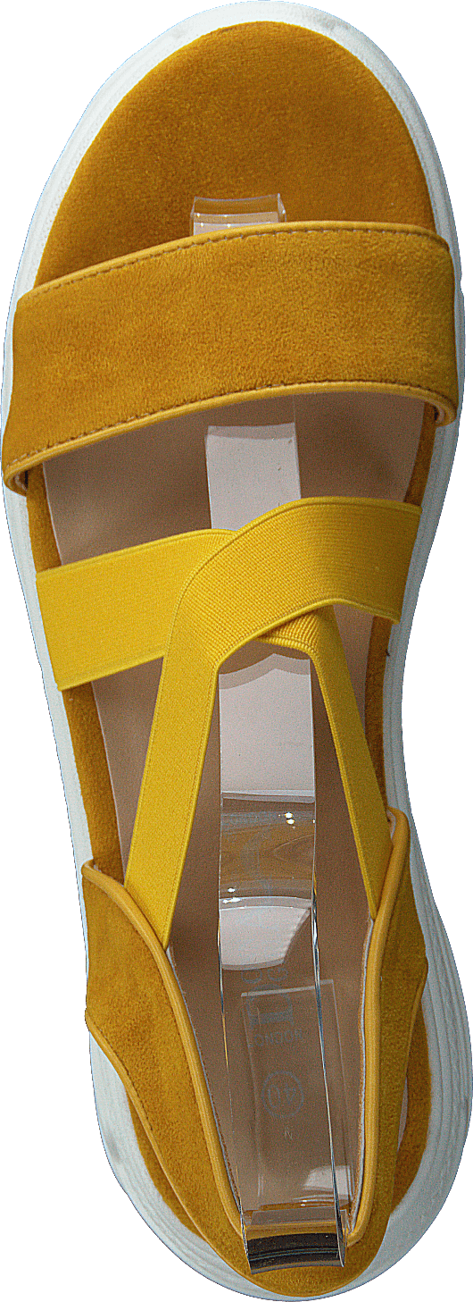 495702 54 Yellow