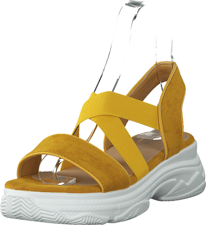 495702 54 Yellow