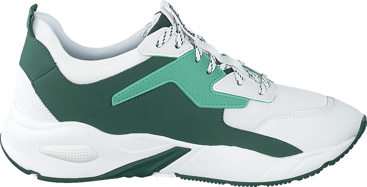 Delphiville F/l Sneaker Neptune Green