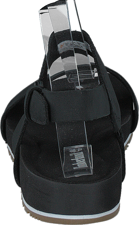 Malibu Waves 2 Band Sandal Black