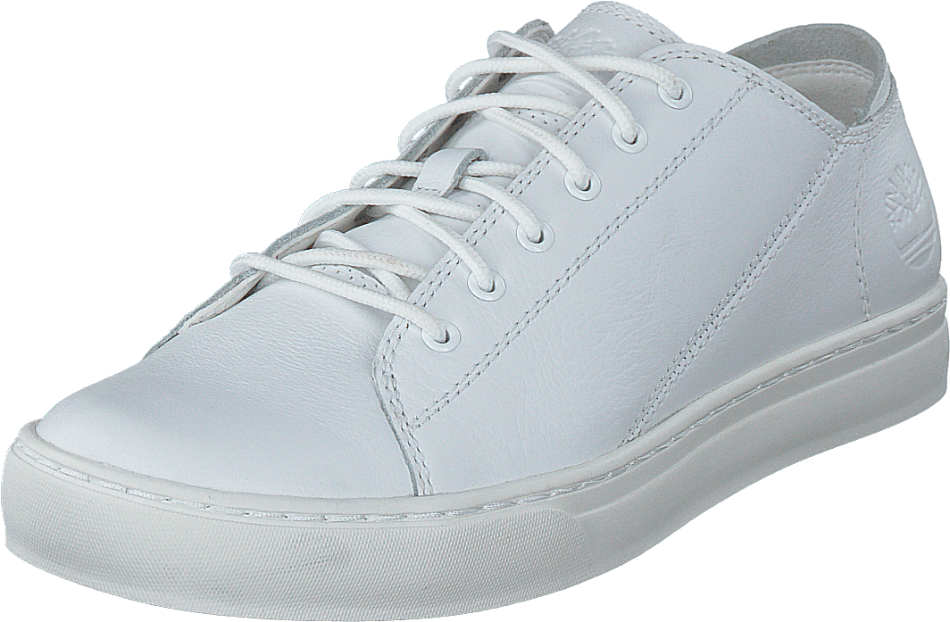 Adv 2.0 Cupsole Modern Ox Blanc