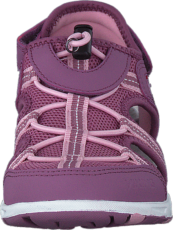 Thrill Rose/violet