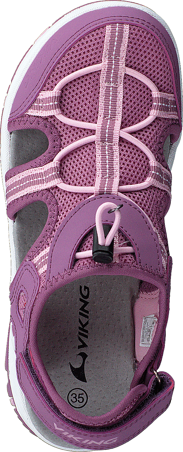 Thrill Rose/violet
