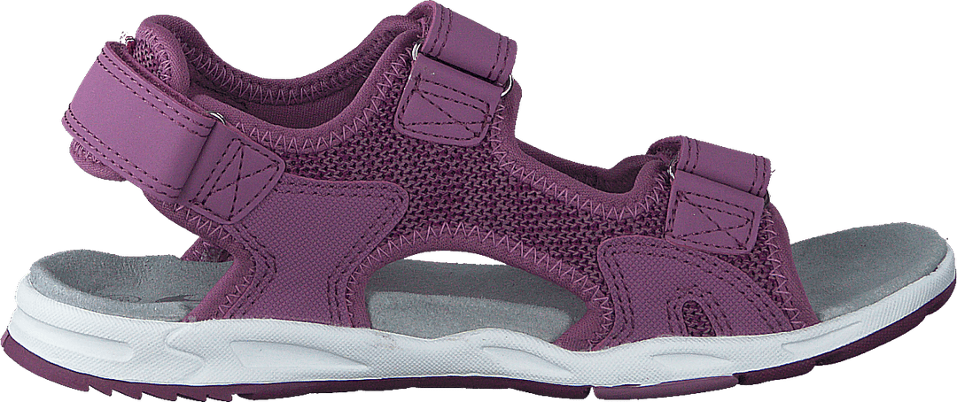 Ankkuri Violetti/bordeaux