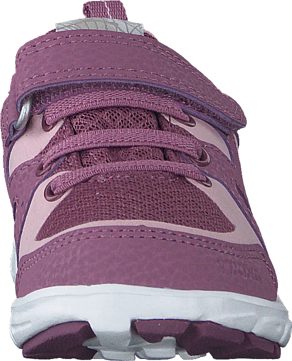 Tolga Wp Violet/rose