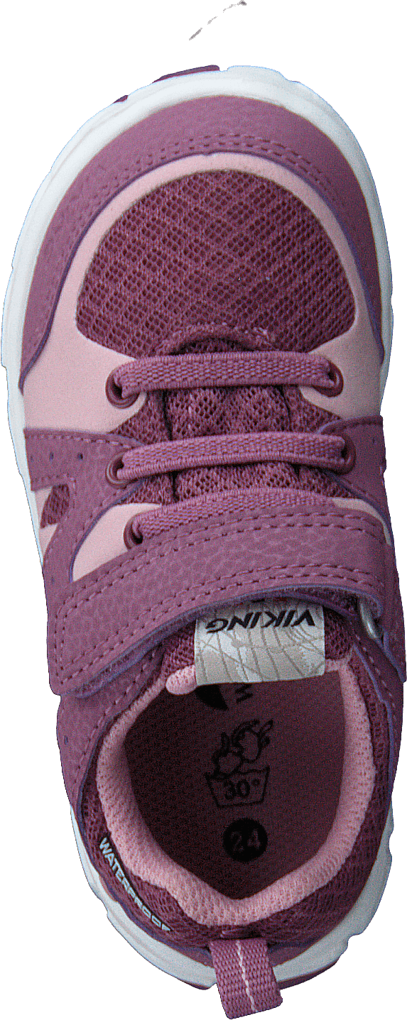 Tolga Wp Violet/rose