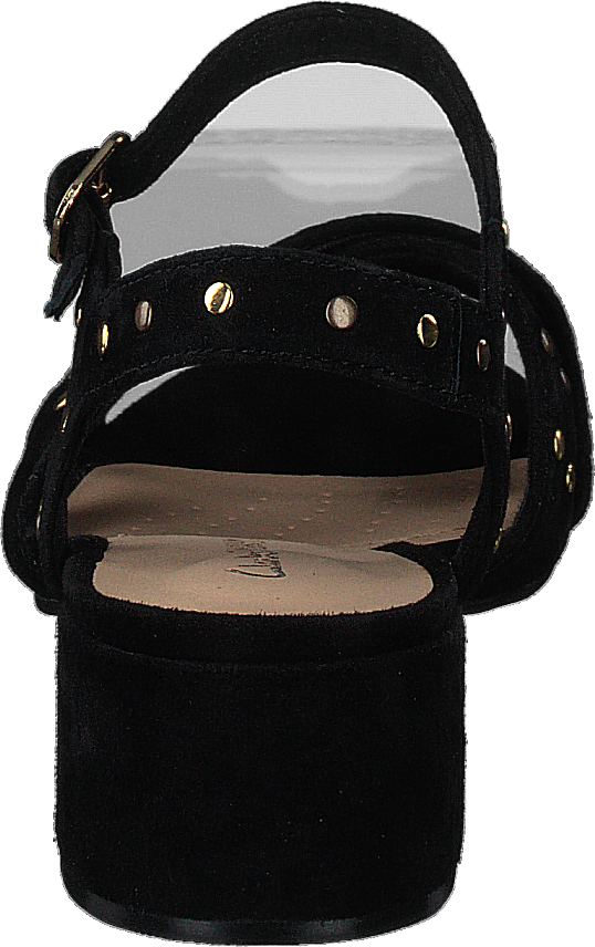 Sheer35 Strap Black Suede Studded
