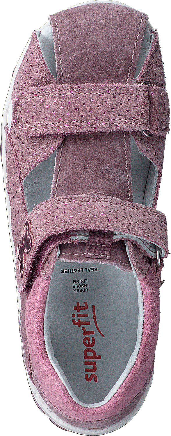 Fanni Lila/Pink