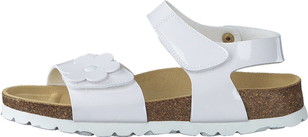Korkis White