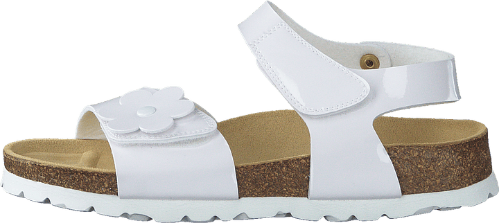 Korkis White