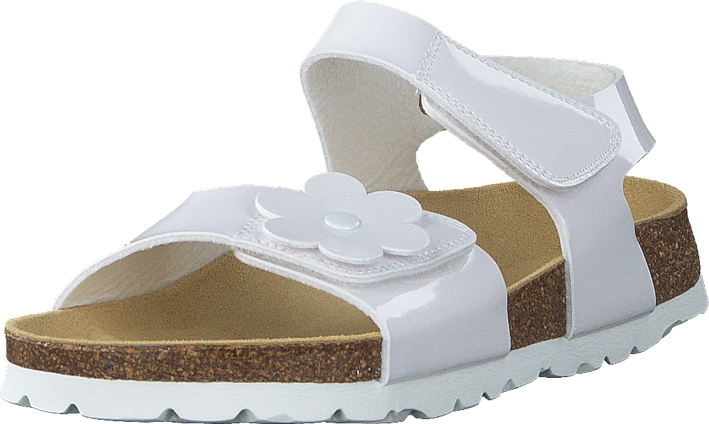 Korkis White