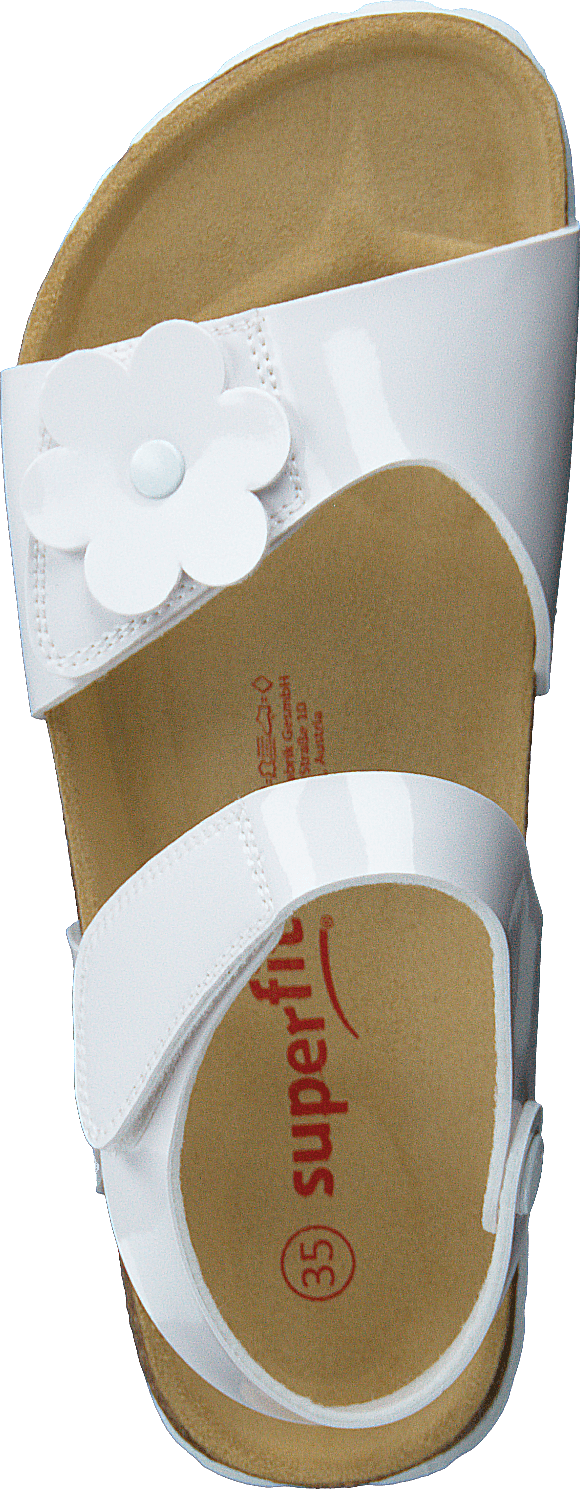 Korkis White