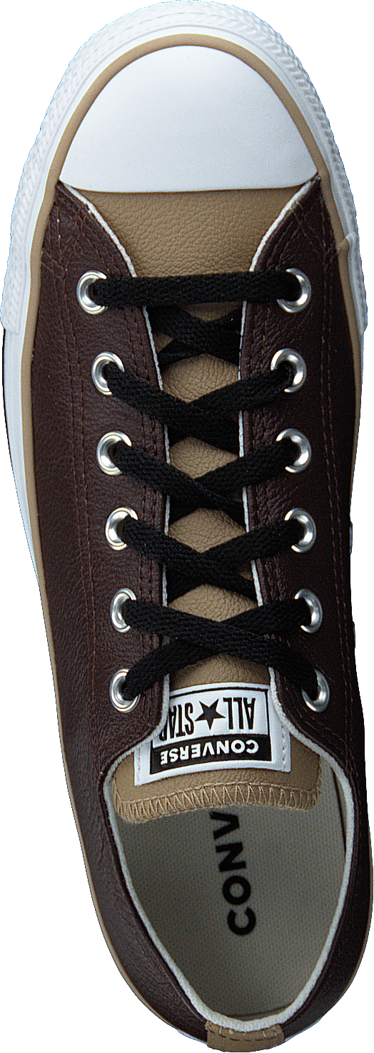 Chuck Taylor All Star Dark Root/nomad Khaki/white