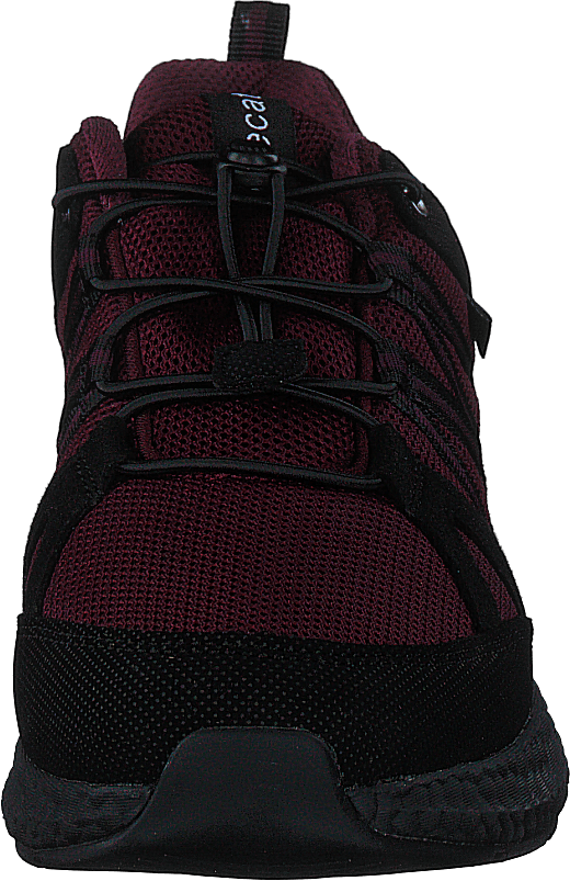 441-3151 Bordo