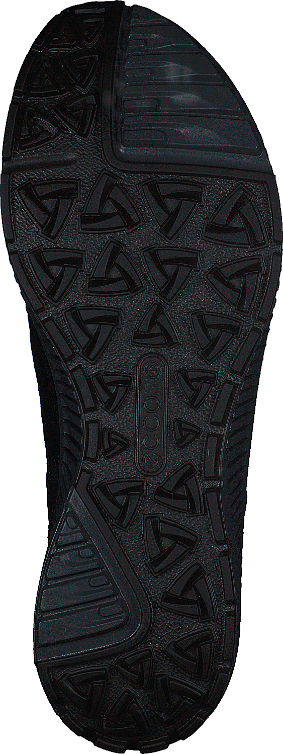 Terracruise II Black/titanium