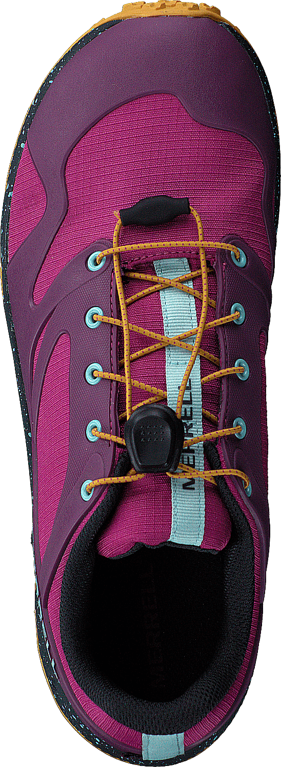 Altalight Low A/c Wtpf Fucshia