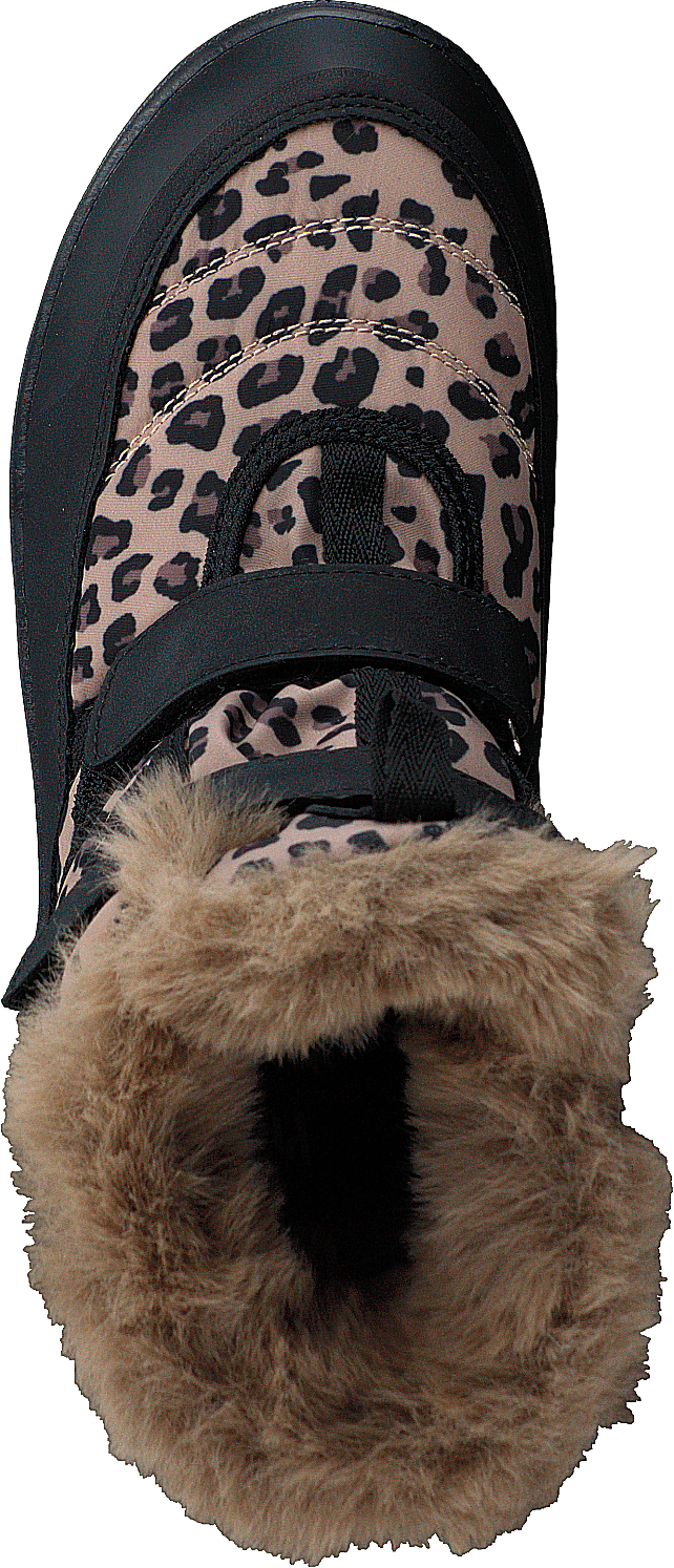 Foxen Leopard
