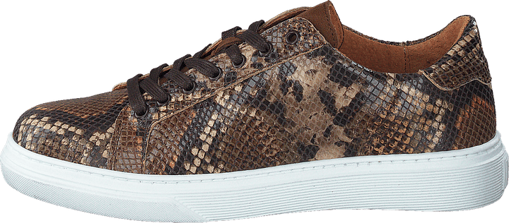 Lixa Snake Brown