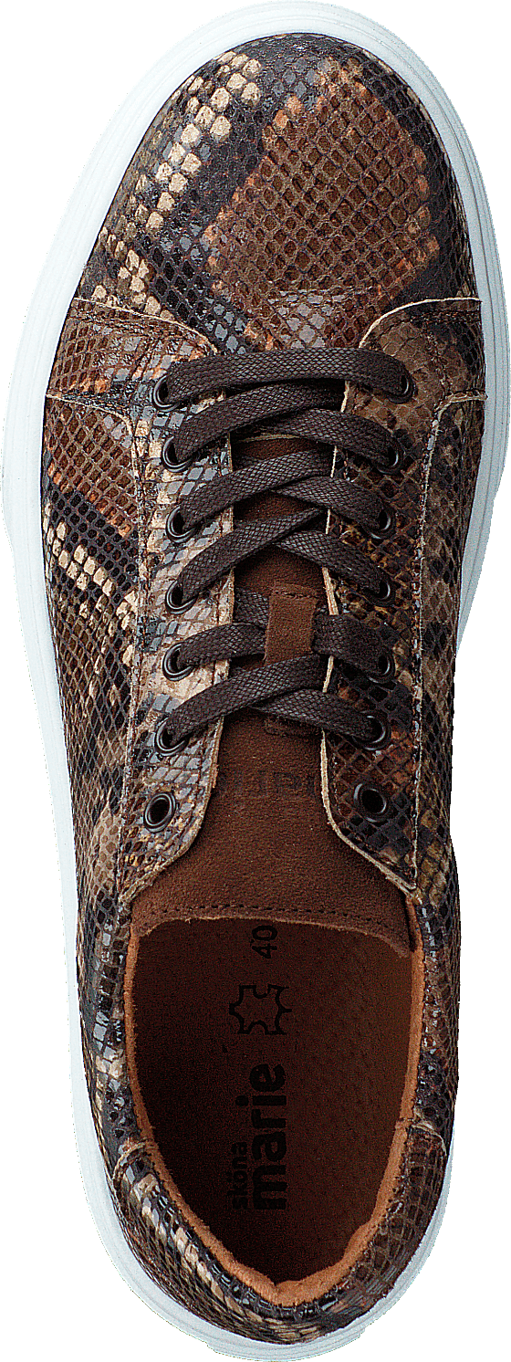 Lixa Snake Brown