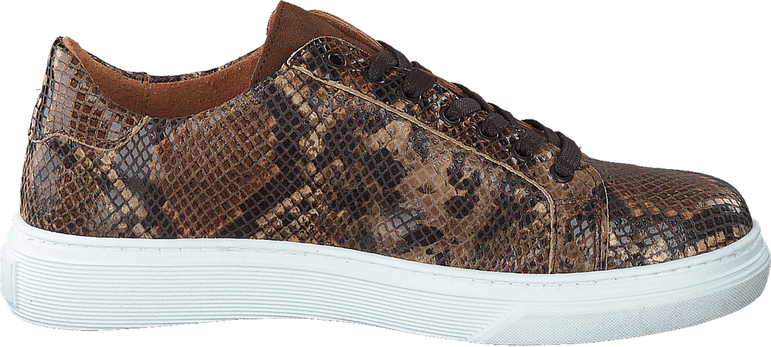 Lixa Snake Brown