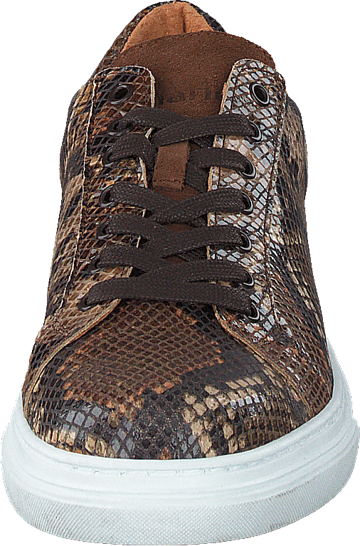 Lixa Snake Brown