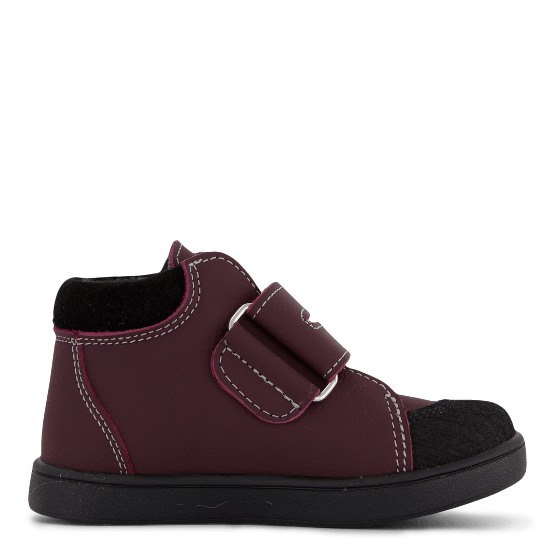 Fiskeby Xc Damson Plum