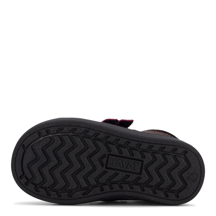 Fiskeby Xc Damson Plum