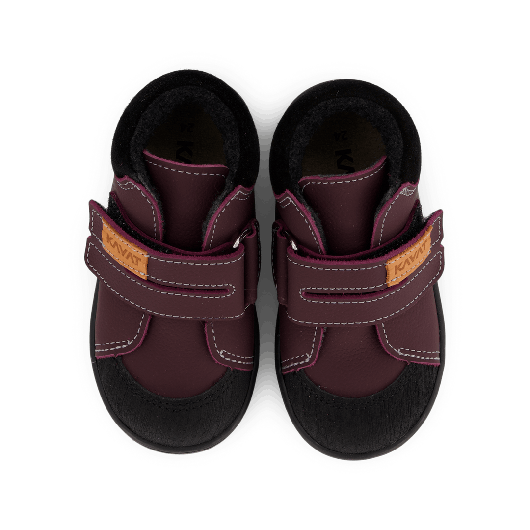 Fiskeby Xc Damson Plum