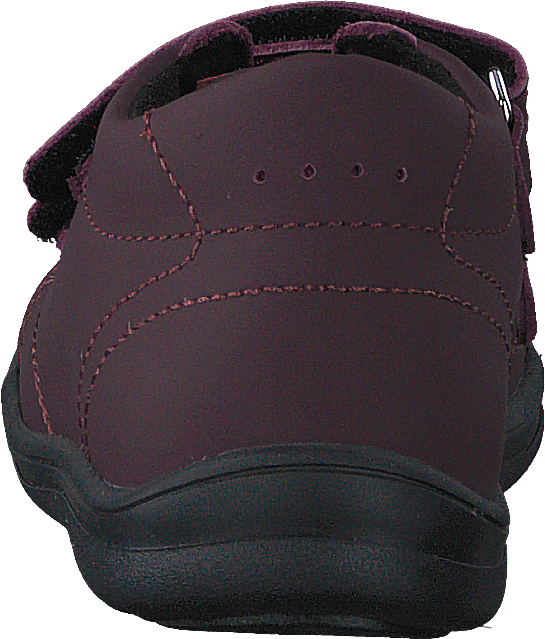 Stocksbo Xc Prune Damson