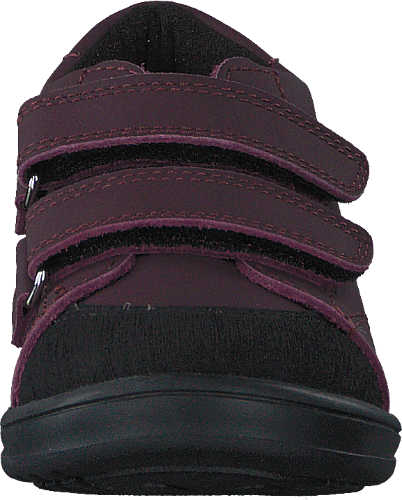 Stocksbo Xc Prune Damson