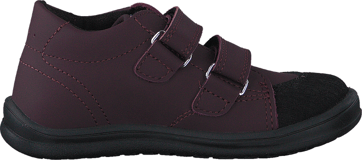 Stocksbo Xc Prune Damson