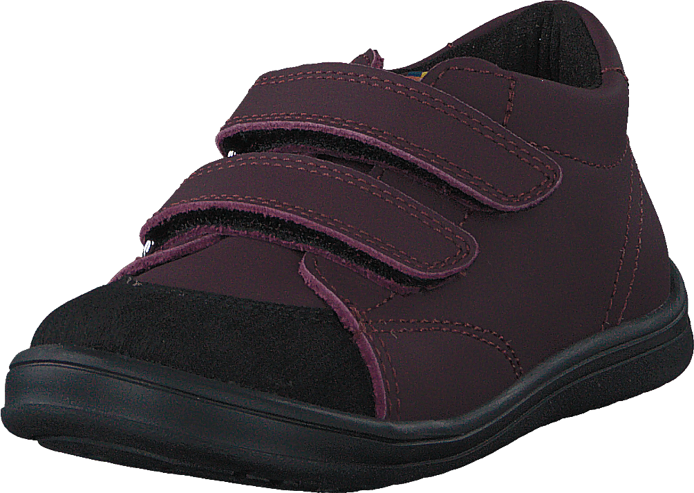 Stocksbo Xc Prune Damson