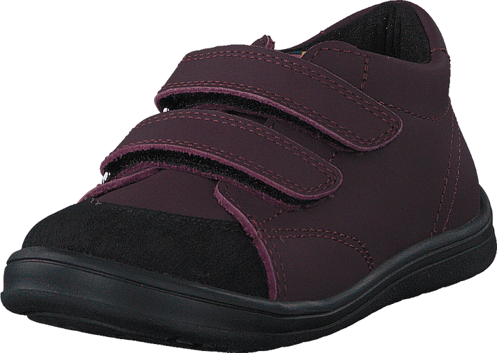 Stocksbo Xc Prune Damson