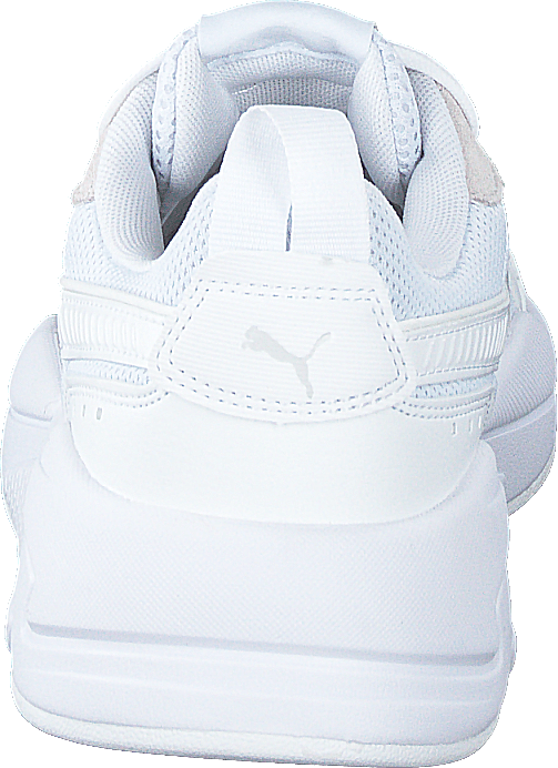X-ray Puma White-gray Violet