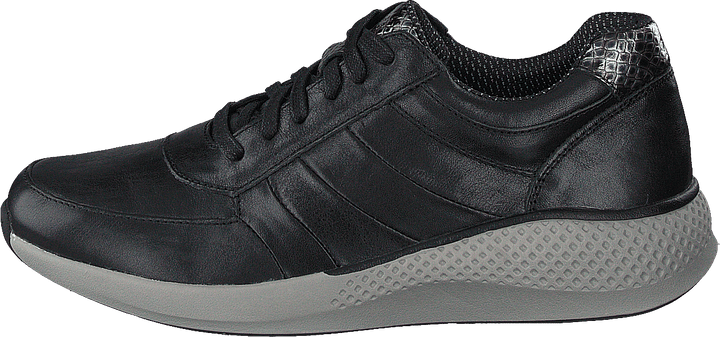 Dolphin Black