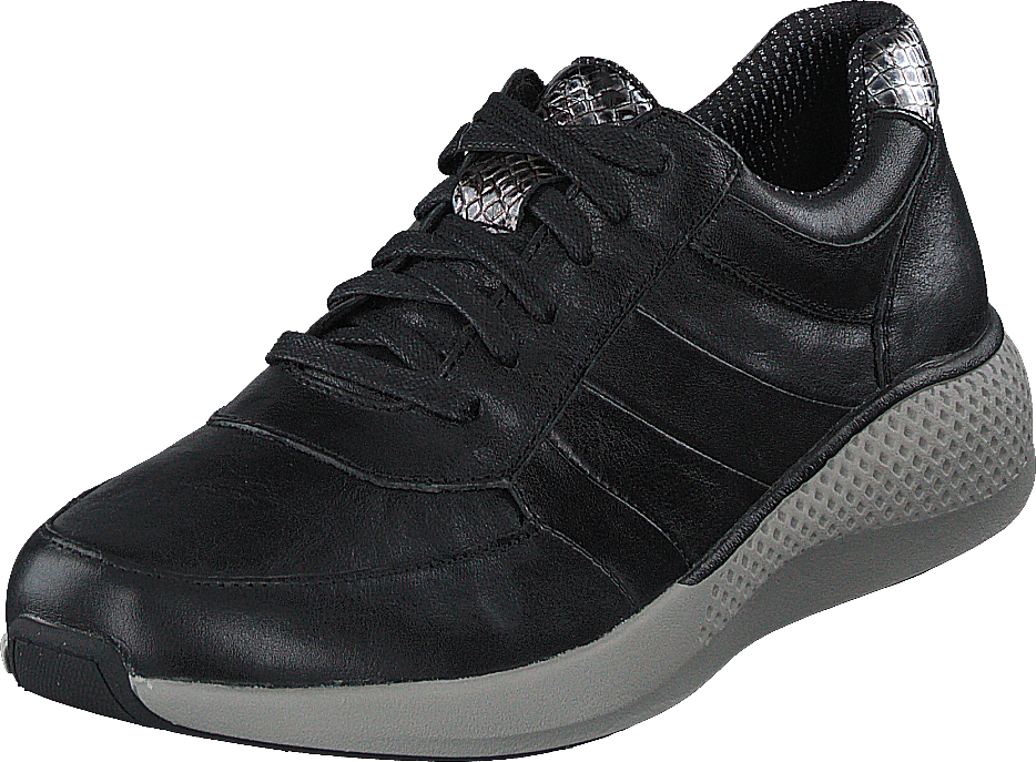 Dolphin Black