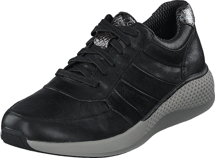Dolphin Black