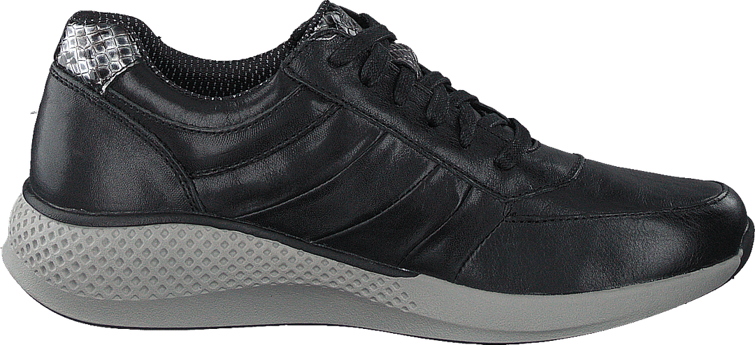 Dolphin Black