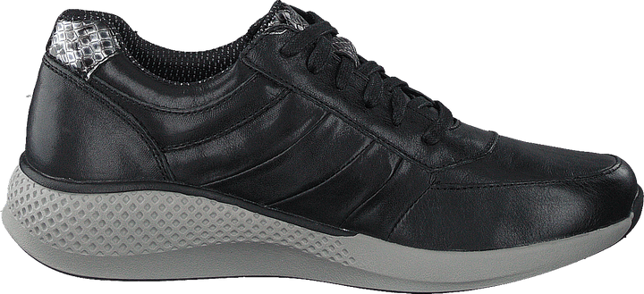 Dolphin Black