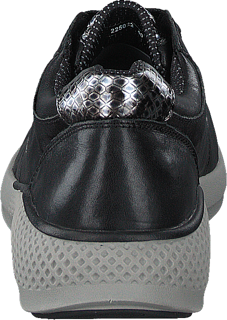 Dolphin Black