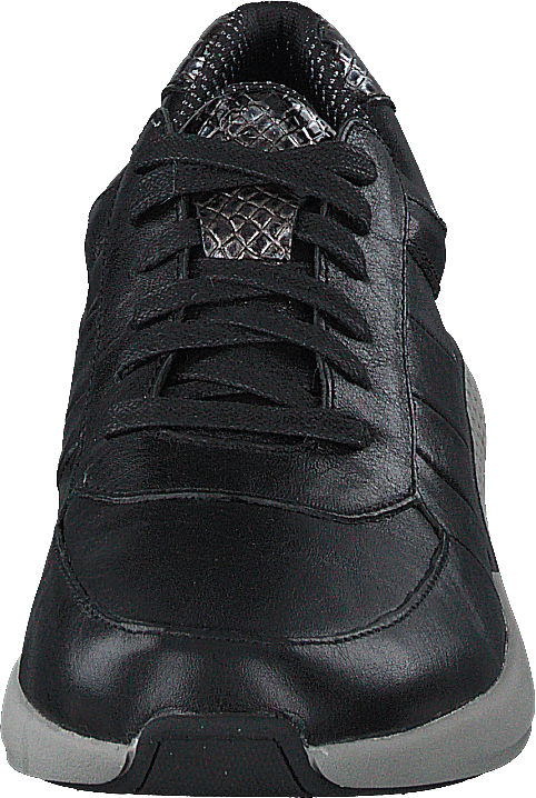 Dolphin Black