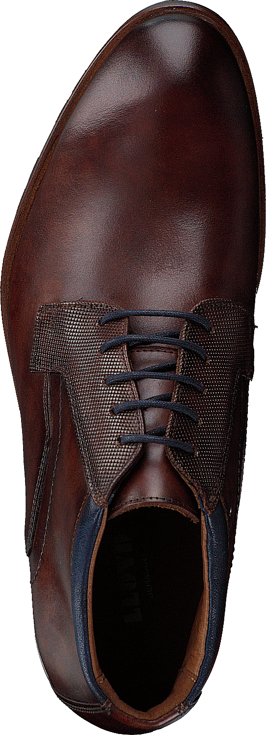 Jaron Brandy/midnight