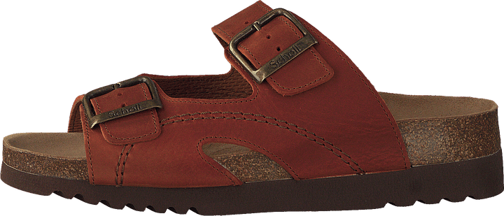 Moldava Rust